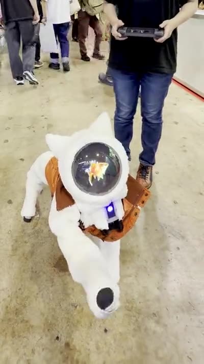ロボット犬KT-2